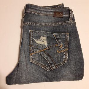 BKE The Legacy Collection Women's The Straight Button Fly Distressed Jeans